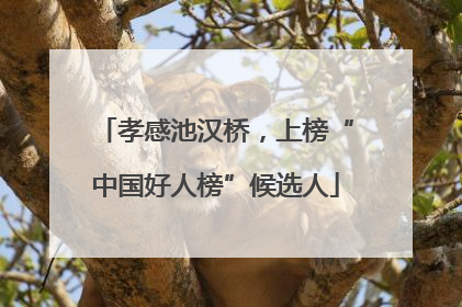 孝感池汉桥，上榜“中国好人榜”候选人