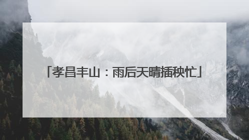 孝昌丰山：雨后天晴插秧忙