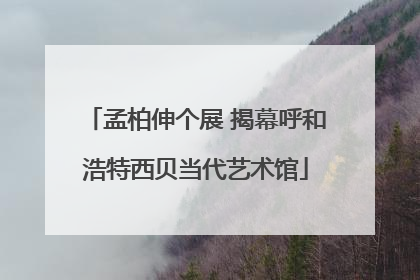 孟柏伸个展 揭幕呼和浩特西贝当代艺术馆