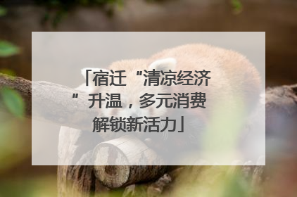 宿迁“清凉经济”升温，多元消费解锁新活力