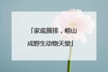 家底摸排，崂山成野生动物天堂