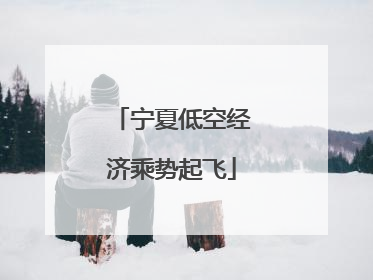 宁夏低空经济乘势起飞