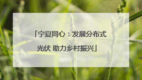 宁夏同心：发展分布式光伏 助力乡村振兴