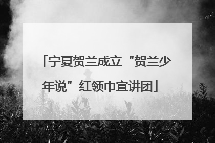宁夏贺兰成立“贺兰少年说”红领巾宣讲团