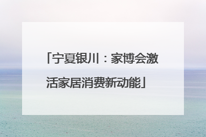 宁夏银川：家博会激活家居消费新动能