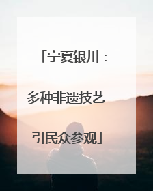 宁夏银川：多种非遗技艺引民众参观