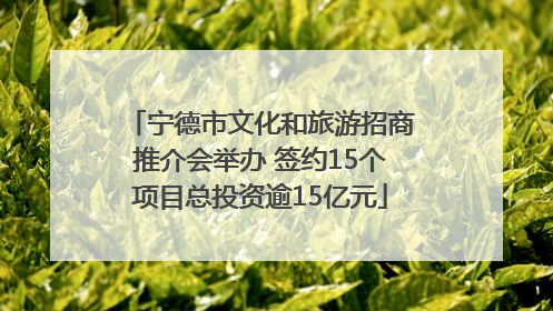 宁德市文化和旅游招商推介会举办 签约15个项目总投资逾15亿元