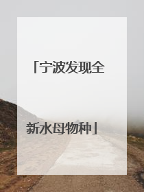 宁波发现全新水母物种