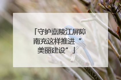 守护嘉陵江屏障 南充这样推进“美丽建设”
