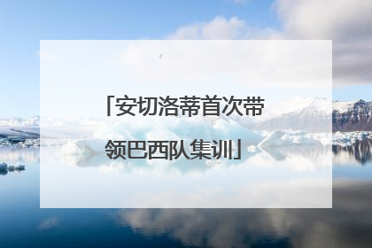 安切洛蒂首次带领巴西队集训
