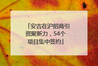 安吉在沪招商引资聚新力，54个项目集中签约