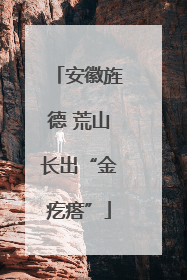 安徽旌德 荒山长出“金疙瘩”