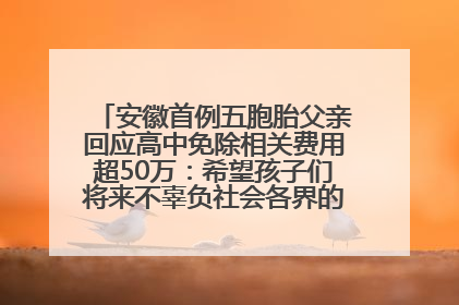 安徽首例五胞胎父亲回应高中免除相关费用超50万：希望孩子们将来不辜负社会各界的帮助与支持