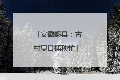 安徽黟县：古村夏日插秧忙