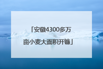 安徽4300多万亩小麦大面积开镰
