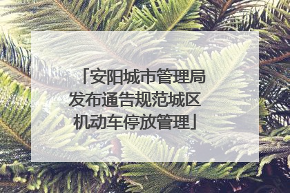 安阳城市管理局发布通告规范城区机动车停放管理