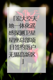宏大空天地一体化遥感探测卫星星座总部项目签约落户无锡高新区