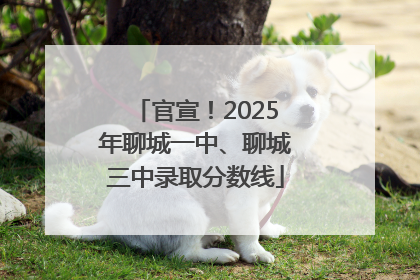 官宣！2025年聊城一中、聊城三中录取分数线