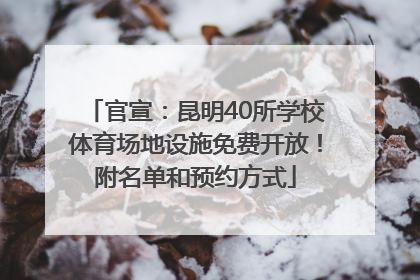 官宣：昆明40所学校体育场地设施免费开放！附名单和预约方式