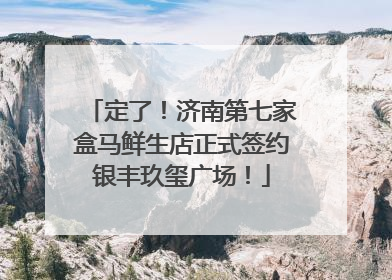 定了！济南第七家盒马鲜生店正式签约银丰玖玺广场！