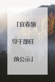 宜春领导干部任前公示