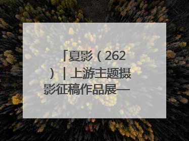 夏影（262）｜上游主题摄影征稿作品展——黄红专作品