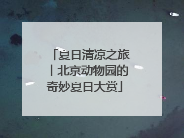 夏日清凉之旅丨北京动物园的奇妙夏日大赏