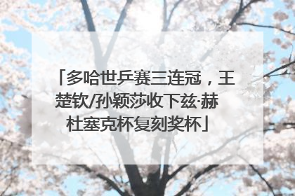 多哈世乒赛三连冠，王楚钦/孙颖莎收下兹·赫杜塞克杯复刻奖杯