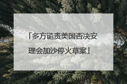 多方谴责美国否决安理会加沙停火草案
