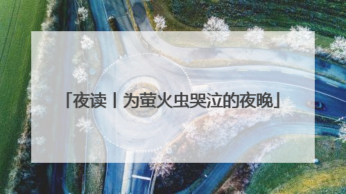 夜读丨为萤火虫哭泣的夜晚