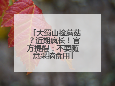 大蜀山捡蘑菇？近期疯长！官方提醒：不要随意采摘食用