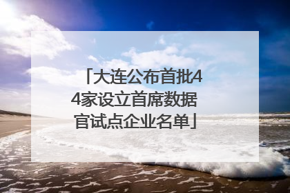 大连公布首批44家设立首席数据官试点企业名单