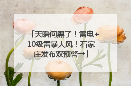 天瞬间黑了！雷电+10级雷暴大风！石家庄发布双预警→