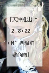 天津推出“2+8+22+N”四级消费商圈