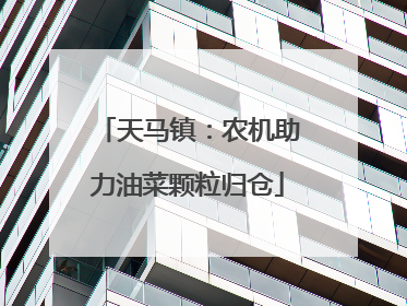 天马镇：农机助力油菜颗粒归仓
