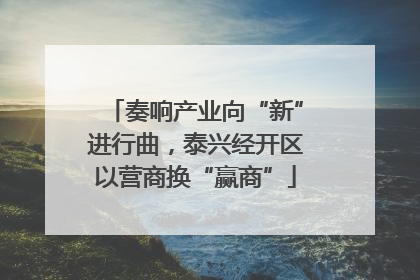 奏响产业向“新”进行曲，泰兴经开区以营商换“赢商”