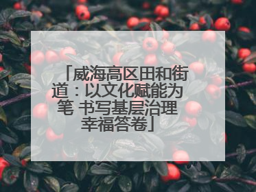 威海高区田和街道：以文化赋能为笔 书写基层治理幸福答卷