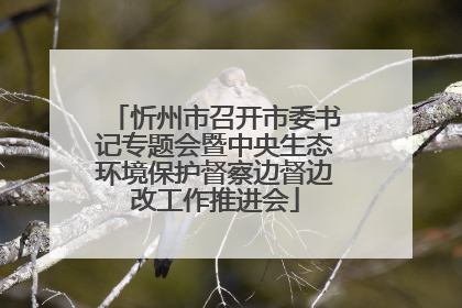 忻州市召开市委书记专题会暨中央生态环境保护督察边督边改工作推进会