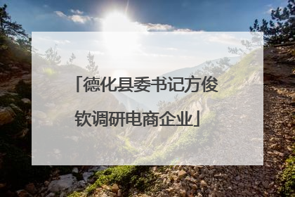 德化县委书记方俊钦调研电商企业