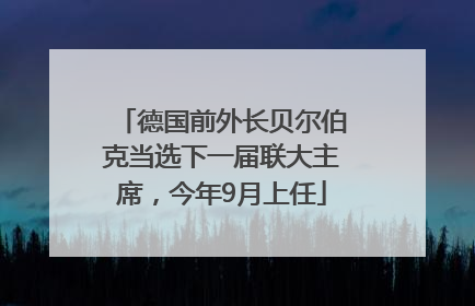 德国前外长贝尔伯克当选下一届联大主席，今年9月上任