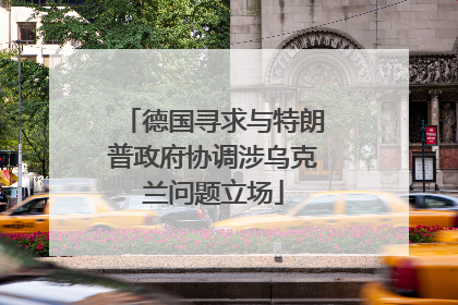 德国寻求与特朗普政府协调涉乌克兰问题立场