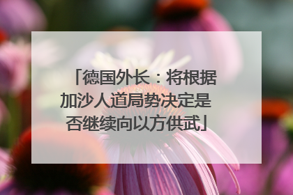 德国外长：将根据加沙人道局势决定是否继续向以方供武