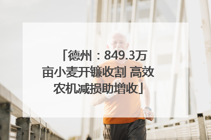 德州：849.3万亩小麦开镰收割 高效农机减损助增收