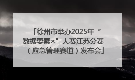 徐州市举办2025年“数据要素×”大赛江苏分赛（应急管理赛道）发布会