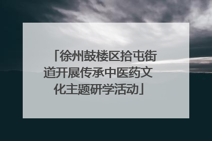 徐州鼓楼区拾屯街道开展传承中医药文化主题研学活动
