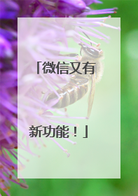 微信又有新功能！