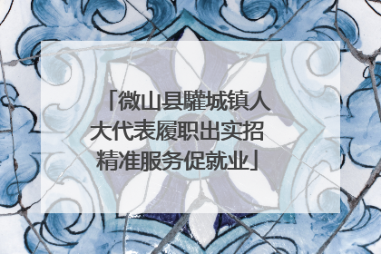 微山县驩城镇人大代表履职出实招精准服务促就业