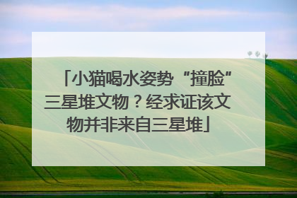 小猫喝水姿势“撞脸”三星堆文物？经求证该文物并非来自三星堆