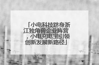 小电科技跻身浙江独角兽企业阵营，小电充电宝引领创新发展新路径