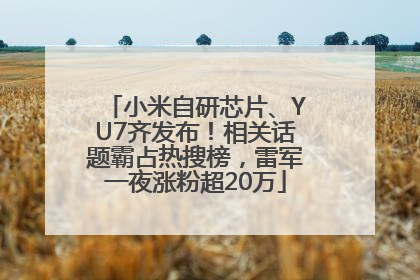 小米自研芯片、YU7齐发布！相关话题霸占热搜榜，雷军一夜涨粉超20万